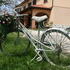 https://agriturismo-diciocco.it-tuscanyhotel.com